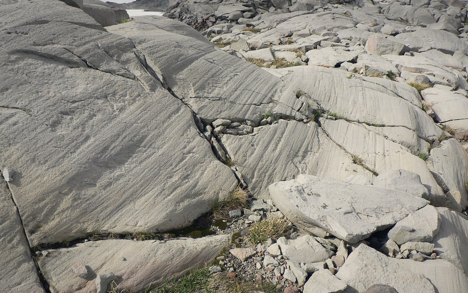 Close on a glacially polished rock surface with parallel scratches running across it, a coin for scale, hard side light