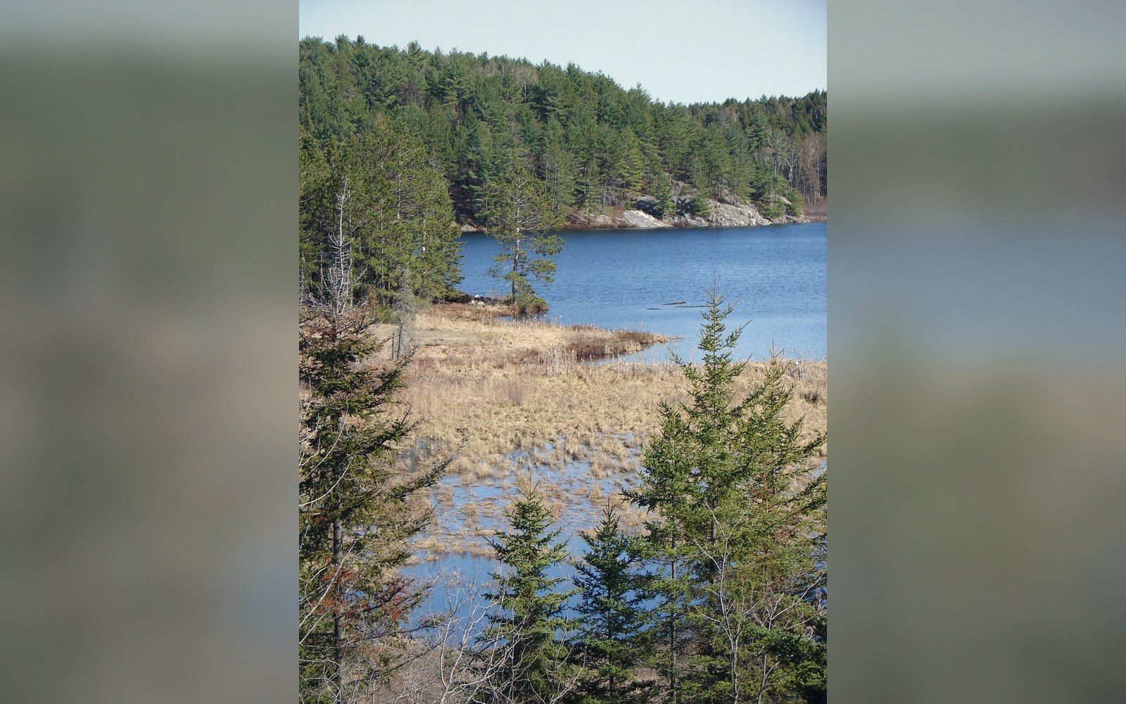 An aerial of bare pink granite bedrock with hundreds of small lakes in the hollows, sparse black spruce, flat overcast light