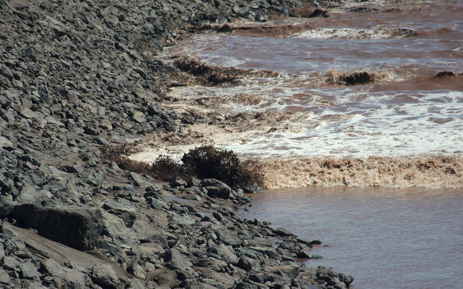 A low broken wave running upstream along a muddy river channel, mudbanks either side, flat grey daylight
